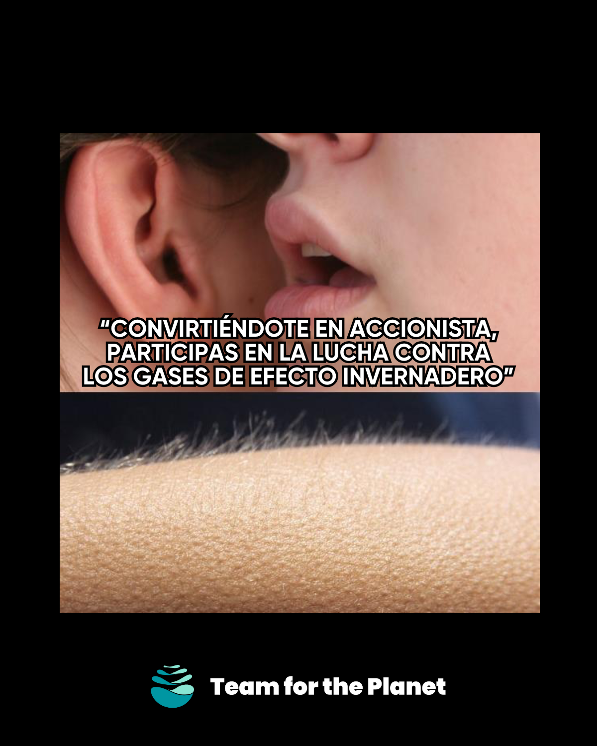 Meme Team for the Planet 3